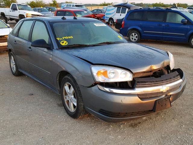 1G1ZT64844F172111 - 2004 CHEVROLET MALIBU MAX 灰色 照片 1