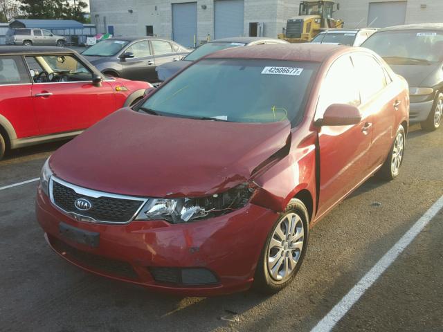 KNAFU4A21B5349886 - 2011 KIA FORTE EX RED photo 2