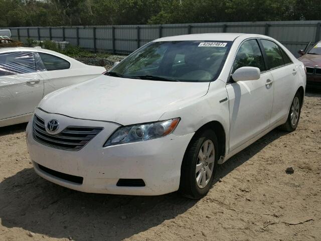 4T1BB46K67U023641 - 2007 TOYOTA CAMRY NEW WHITE photo 2