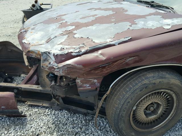 1G1BN53E9MW149405 - 1991 CHEVROLET CAPRICE CL 栗色 照片 9