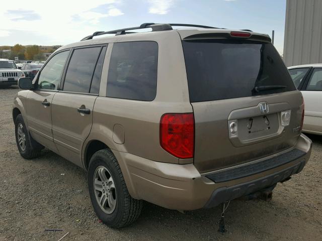 2HKYF18535H538273 - 2005 HONDA PILOT EXL GOLD photo 3