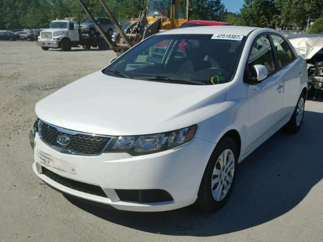 KNAFU4A23D5648086 - 2013 KIA FORTE WHITE photo 2