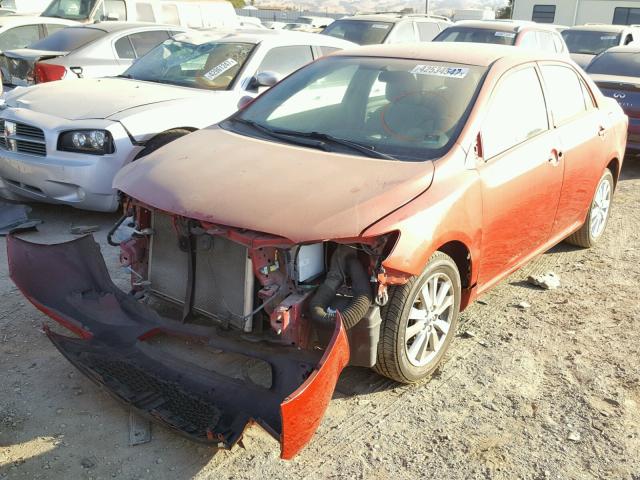 2T1BU4EE2AC387473 - 2010 TOYOTA COROLLA BA RED photo 2