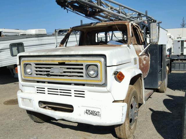 CCE537V144575 - 1977 CHEVROLET C/50 YELLOW photo 2