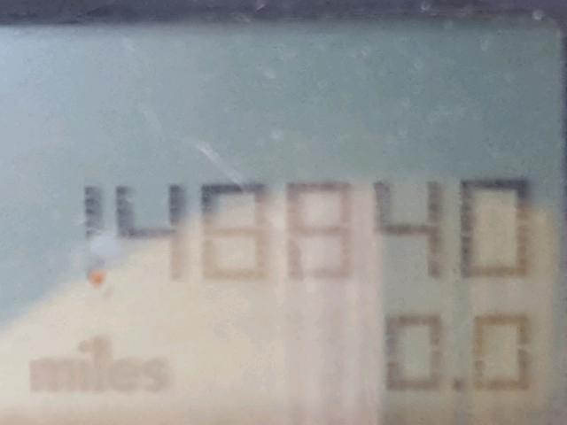 3VWCD31YX5M307118 - 2005 VOLKSWAGEN NEW BEETLE კრემისფერი ფოტო 8