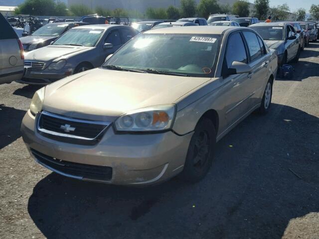 1G1ZT51F96F252505 - 2006 CHEVROLET MALIBU GOLD photo 2