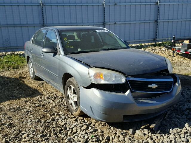 1G1ZT52865F224255 - 2005 CHEVROLET MALIBU LS GRAY photo 1