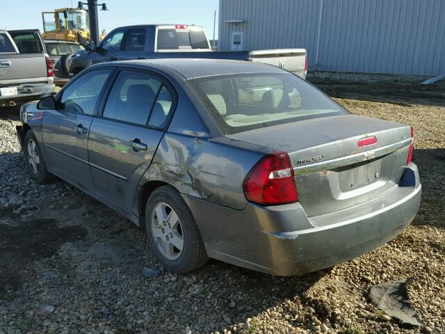 1G1ZT52865F224255 - 2005 CHEVROLET MALIBU LS GRAY photo 3