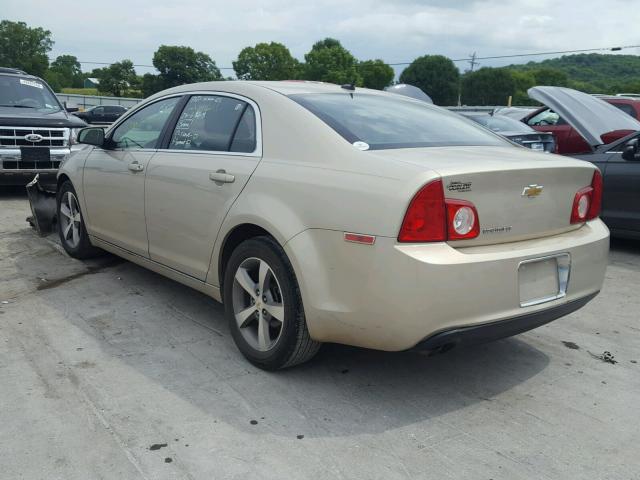 1G1ZC5E11BF214579 - 2011 CHEVROLET MALIBU 1LT ოქროსფერი ფოტო 3