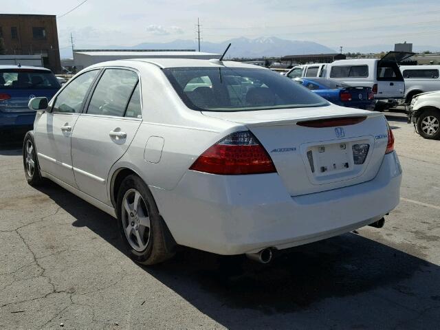 JHMCN364X6C001429 - 2006 HONDA ACCORD WHITE photo 3