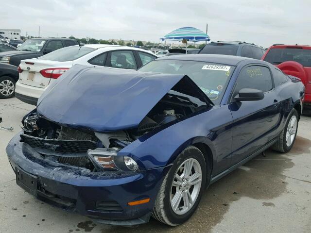 1ZVBP8AN9A5152230 - 2010 FORD MUSTANG BLUE photo 2