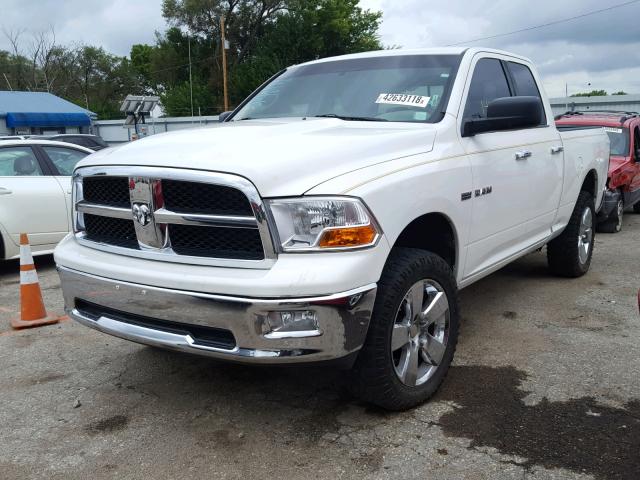 1D3HV18TX9S781093 - 2009 DODGE RAM 1500 WHITE photo 2