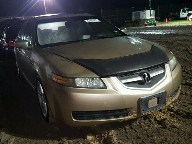 19UUA66256A013406 - 2006 ACURA 3.2TL GOLD photo 1