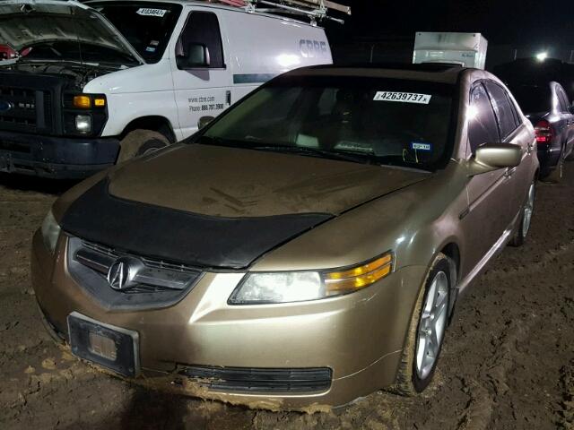 19UUA66256A013406 - 2006 ACURA 3.2TL GOLD photo 2