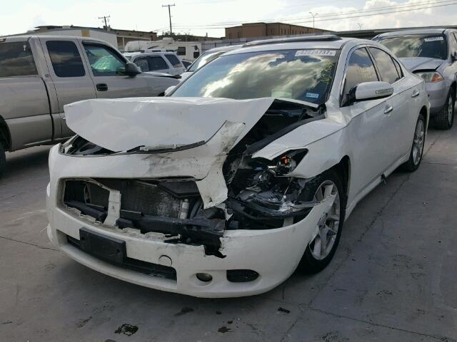 1N4AA5AP3BC863568 - 2011 NISSAN MAXIMA S WHITE photo 2