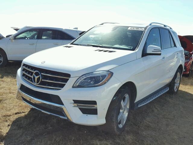 4JGDA5JB9EA294569 - 2014 MERCEDES-BENZ ML 350 WHITE photo 2