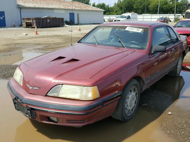 1FABP64T9JH216398 - 1988 FORD THUNDERBIR RED photo 2