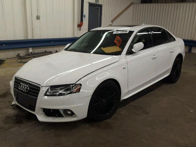 WAUFFAFL7CA113679 - 2012 AUDI A4 PREMIUM WHITE photo 2