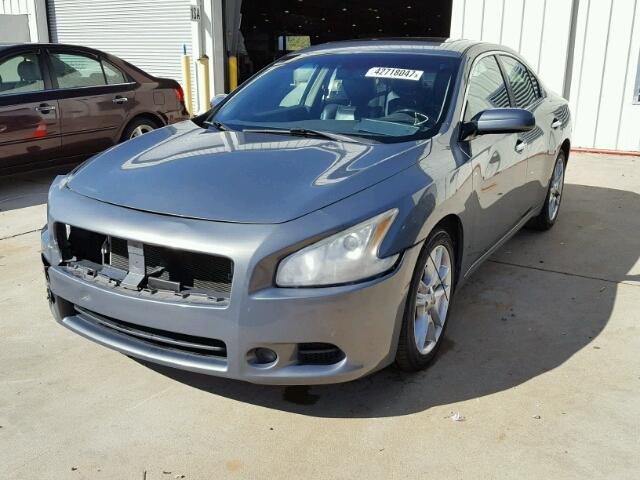 1N4AA51E49C837358 - 2009 NISSAN MAXIMA GRAY photo 2