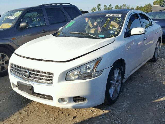 1N4AA5AP6AC872098 - 2010 NISSAN MAXIMA S WHITE photo 2