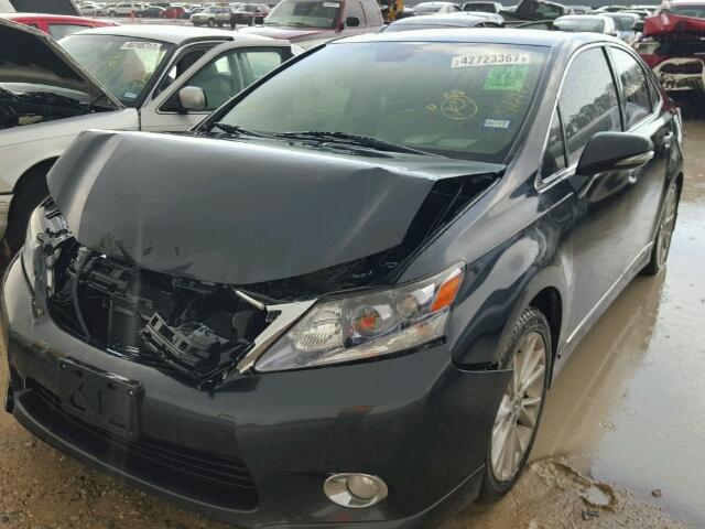 JTHBB1BA3A2014803 - 2010 LEXUS HS 250H GRAY photo 2