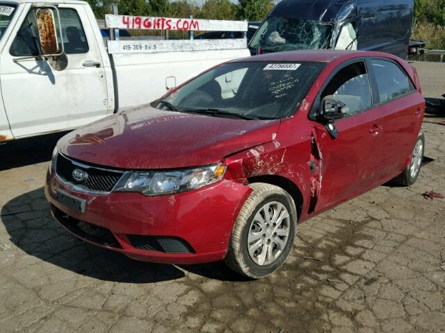 KNAFU4A26A5844387 - 2010 KIA FORTE RED photo 2