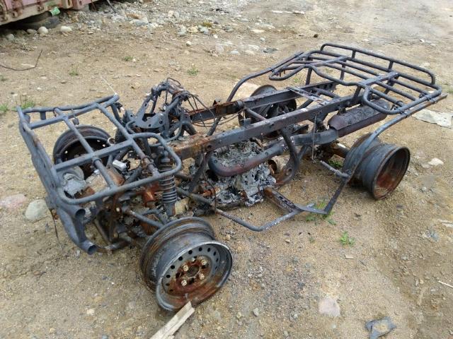 478TE226X44500329 - 2004 HONDA TRX450 FE BURN photo 2