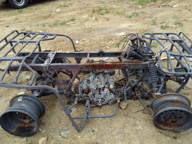 478TE226X44500329 - 2004 HONDA TRX450 FE BURN photo 9