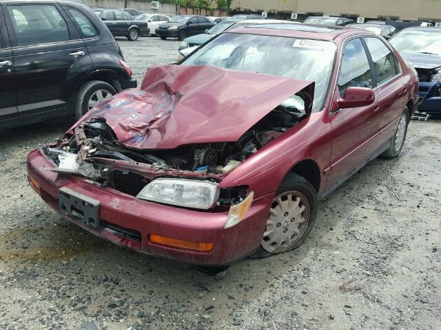 1HGCD5651VA095902 - 1997 HONDA ACCORD EX BURGUNDY photo 2