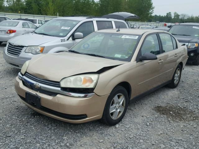 1G1ZT54885F175394 - 2005 CHEVROLET MALIBU LS Qəhvəyi foto 2