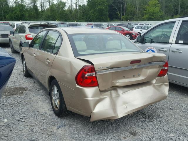 1G1ZT54885F175394 - 2005 CHEVROLET MALIBU LS Qəhvəyi foto 3