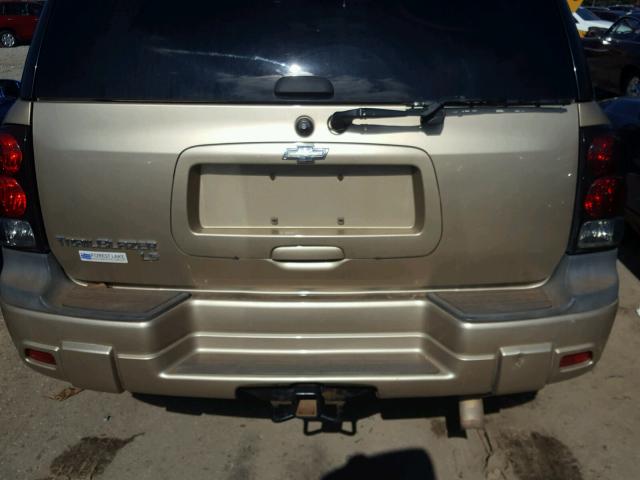 1GNDT13S462334631 - 2006 CHEVROLET TRAILBLAZE TAN photo 9