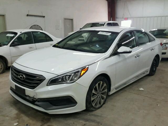 5NPE34AF7FH090167 - 2015 HYUNDAI SONATA SPO WHITE photo 2