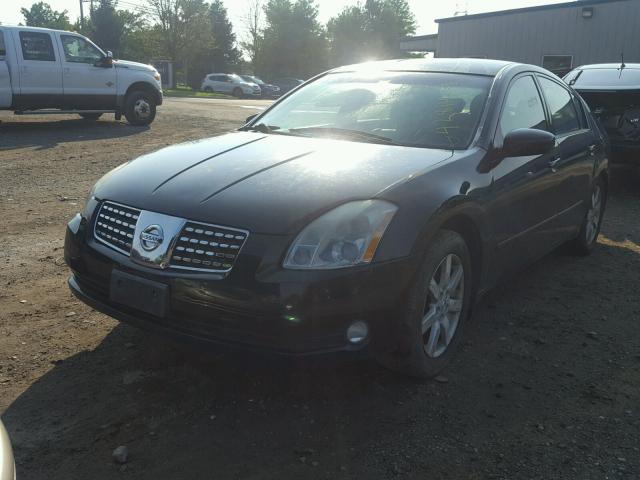 1N4BA41E35C839689 - 2005 NISSAN MAXIMA SE BLACK photo 2