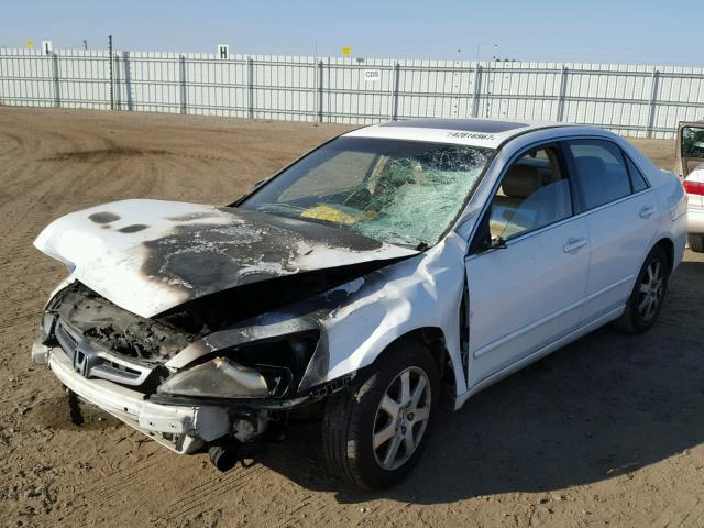 1HGCM66565A043090 - 2005 HONDA ACCORD EX WHITE photo 2