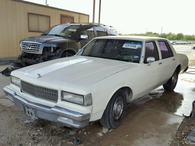 1G1BL5178KR223063 - 1989 CHEVROLET CAPRICE CREAM photo 2