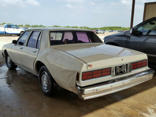 1G1BL5178KR223063 - 1989 CHEVROLET CAPRICE CREAM photo 3