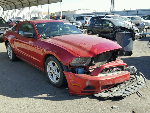 1ZVBP8AM8D5283497 - 2013 FORD MUSTANG RED photo 1