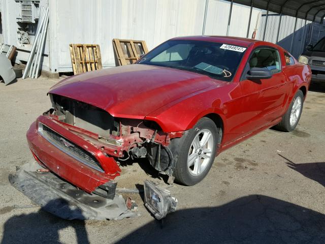 1ZVBP8AM8D5283497 - 2013 FORD MUSTANG RED photo 2