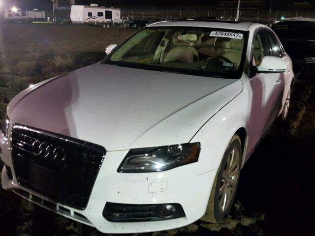 WAULK68K79N030481 - 2009 AUDI A4 WHITE photo 2