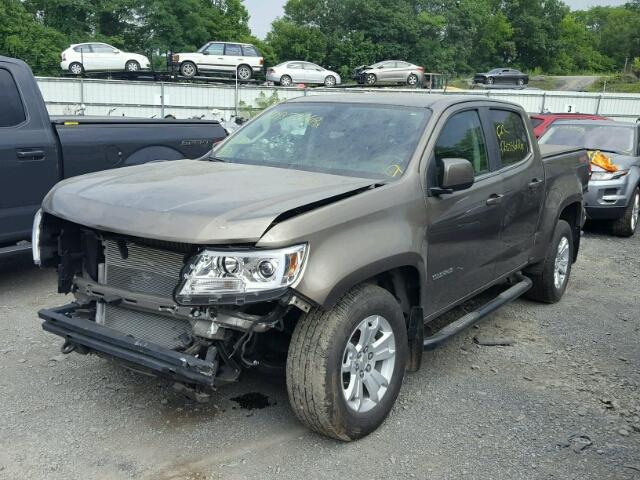 1GCGTCEN5H1188662 - 2017 CHEVROLET COLORADO L BROWN photo 2