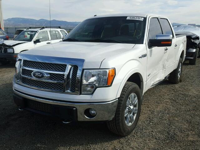 1FTFW1ETXCFA95363 - 2012 FORD F150 SUPER WHITE photo 2