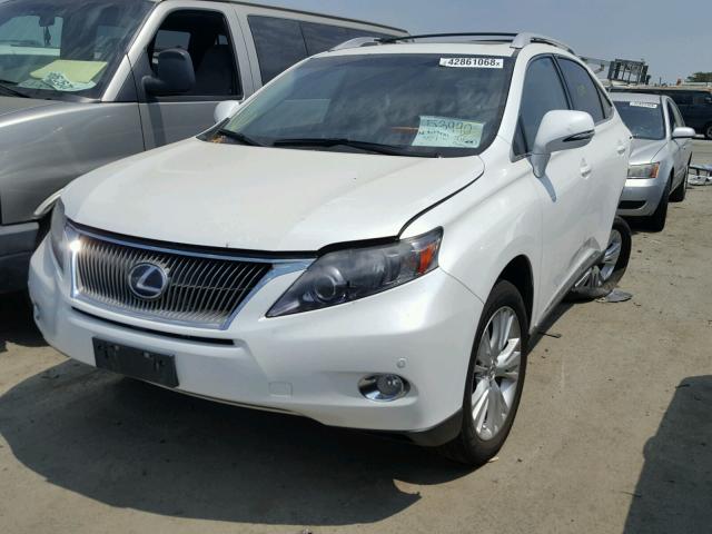 JTJBC1BA0A2027164 - 2010 LEXUS RX 450 WHITE photo 2