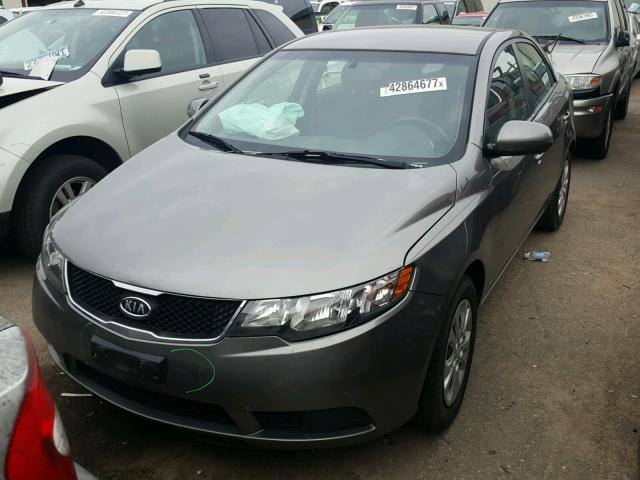 KNAFU4A27C5546983 - 2012 KIA FORTE EX GRAY photo 2