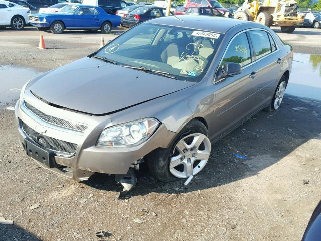 1G1ZB5E01CF223343 - 2012 CHEVROLET MALIBU LS 棕色 照片 2