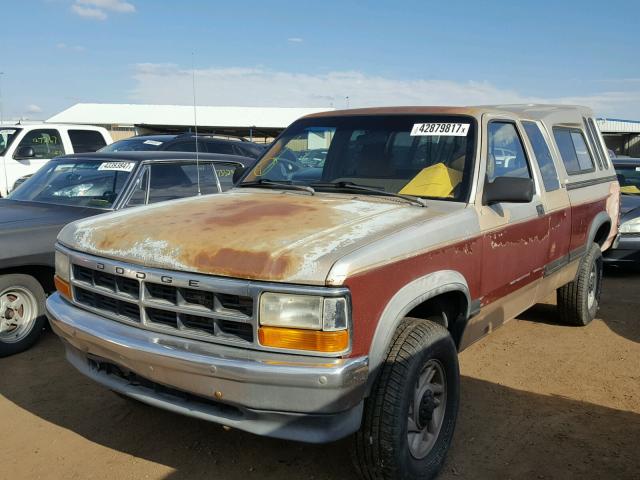 1B7GG23X4PS146575 - 1993 DODGE DAKOTA TAN photo 2