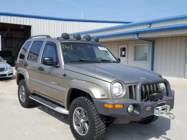 1J4GL38K12W366492 - 2002 JEEP LIBERTY RE GOLD photo 1