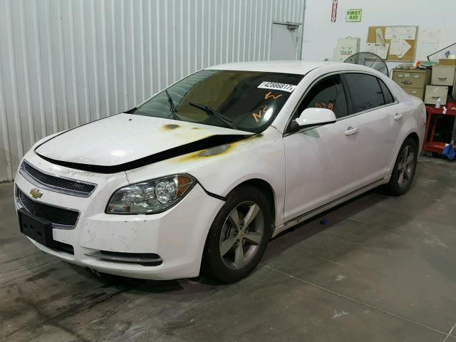 1G1ZC5EU2BF124836 - 2011 CHEVROLET MALIBU 1LT 白色 照片 2
