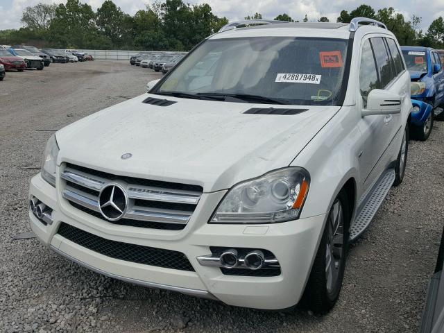 4JGBF2FE2BA743337 - 2011 MERCEDES-BENZ GL 350 BLU WHITE photo 2