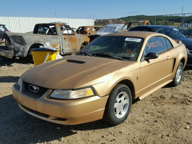 1FAFP4040YF244133 - 2000 FORD MUSTANG GOLD photo 2